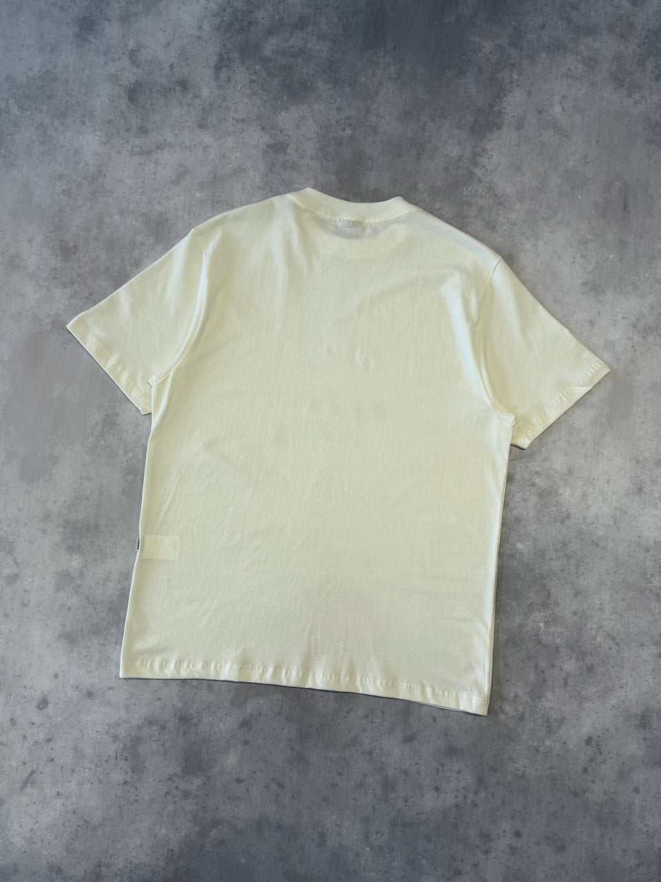 CAMISETA PLANO C "THE FALL"