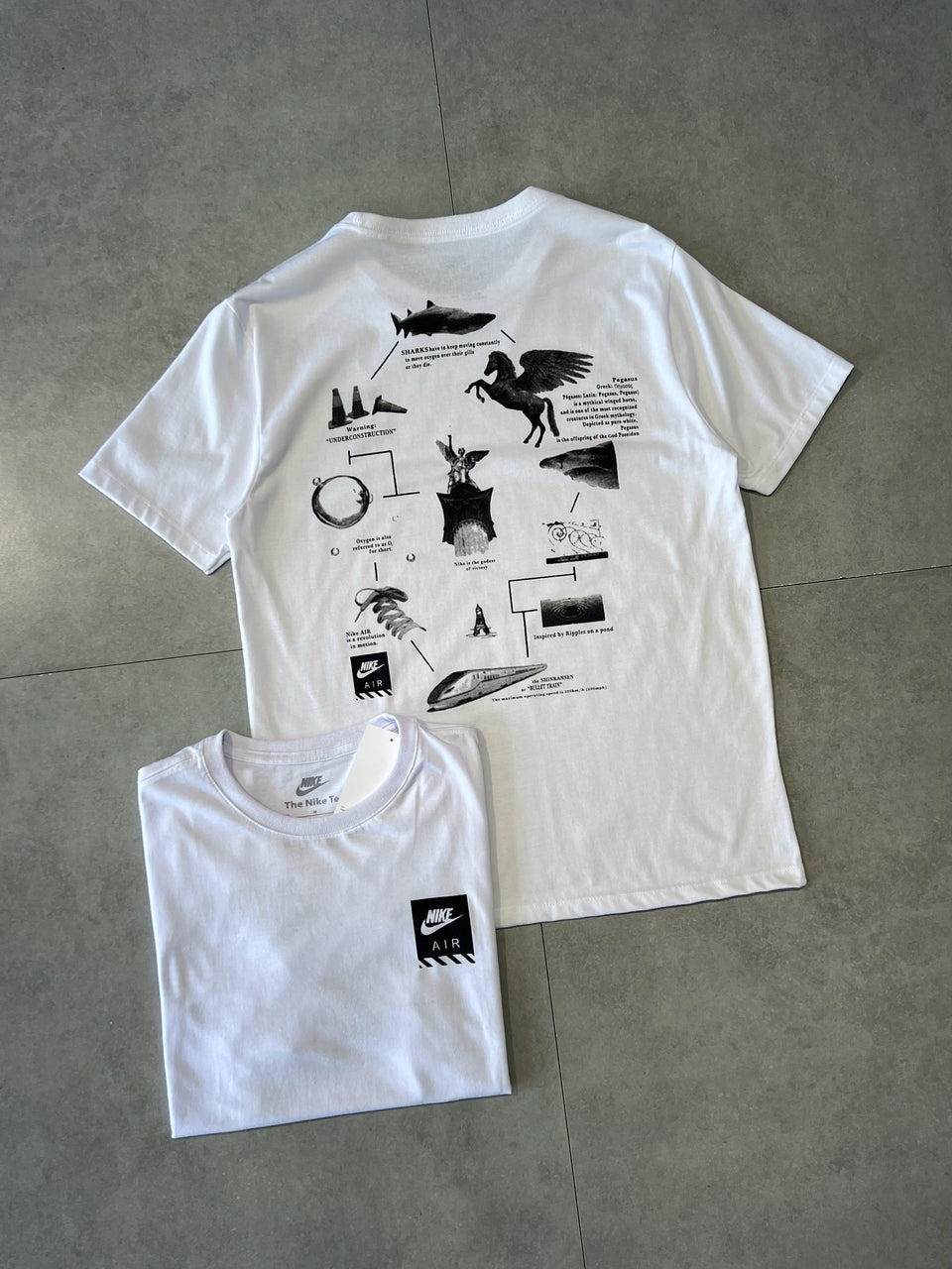 CAMISETA NIKE PEGASUS