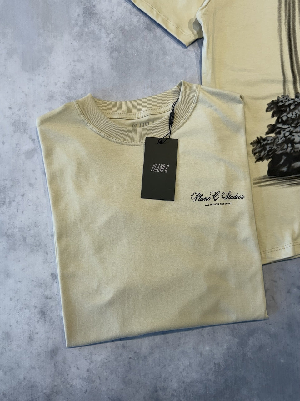 CAMISETA PLANO C "FOUNTAIN"