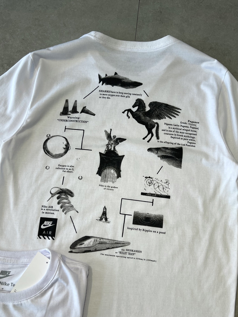 CAMISETA NIKE PEGASUS